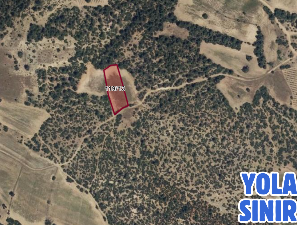 AFYON DAZKIRI YAYLA 3.000 M² TARLAMIZ SATILIKTIR. - AFYONKARAHİSAR DAZKIRI fotoğraf 3